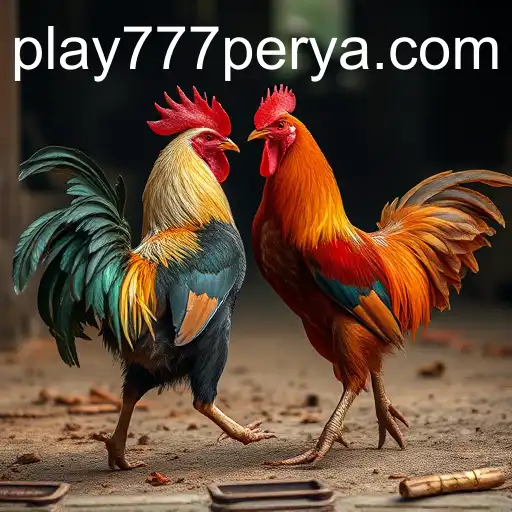 The Complex World of Cockfighting and the Role of 777Perya.com